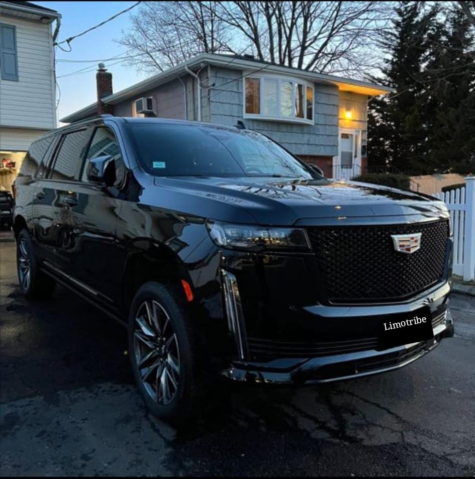 Executive Airport Transportation for Corporate Travelers with Limo Tribe