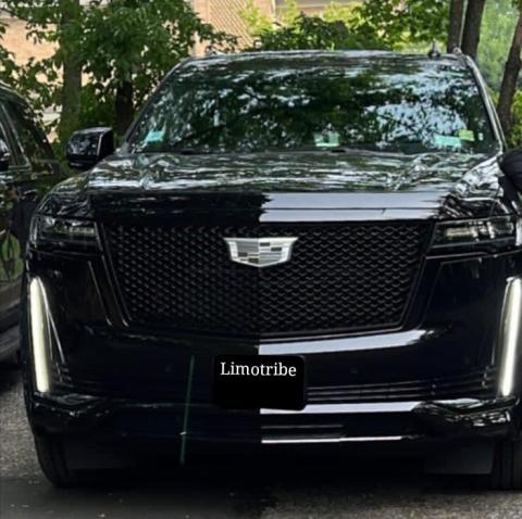 VIP Airport Transportation for Celebrities & High-Profile Clients with Limo Tribe